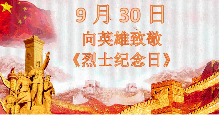 救援非洲金猫